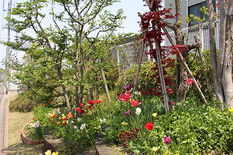 あおばガーデン