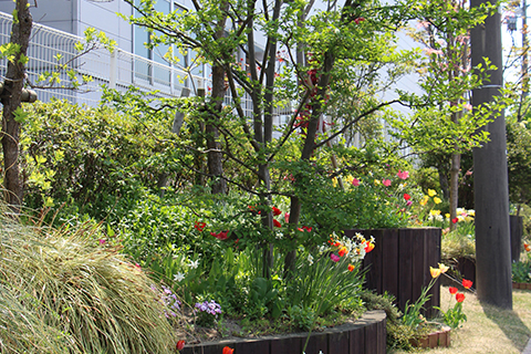 あおばガーデン