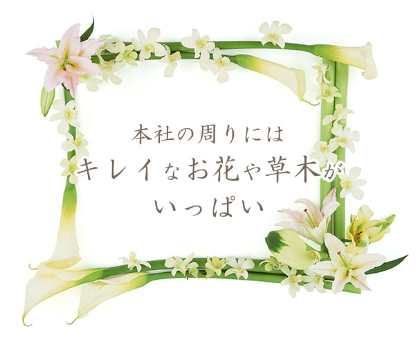 本社の周りにはキレイなお花や草木がいっぱい