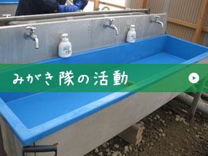 みがき隊の活動