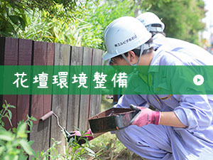 花壇環境整備